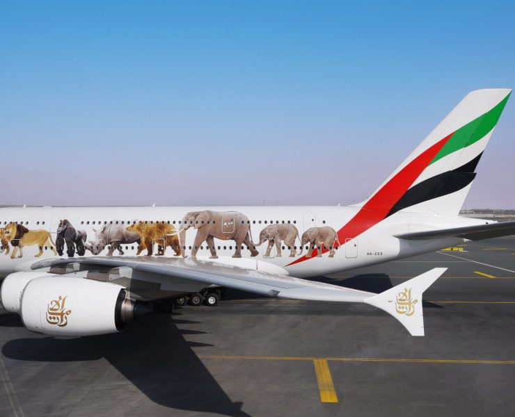 United for Wildlife Gets Boost With 12 New Signatories: Total Now Stands at 38 Airlines