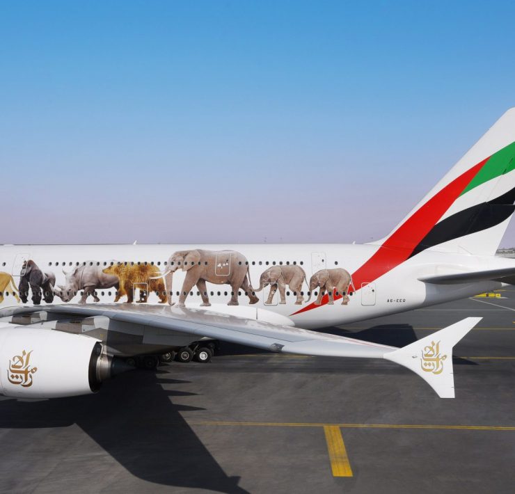 United for Wildlife Gets Boost With 12 New Signatories: Total Now Stands at 38 Airlines