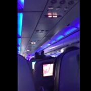 VIDEO: Shocking Moment a jetBlue Flight Attendant is Punched in the Head by a Disruptive Passenger