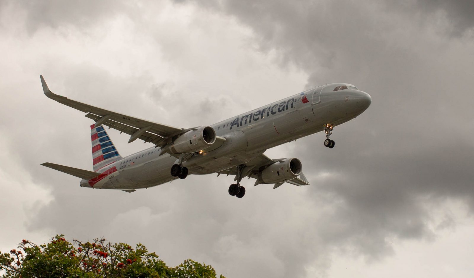 To Sue Or Not To Sue: Spat Emerges Between Rival Flight Attendant Unions at American Airlines