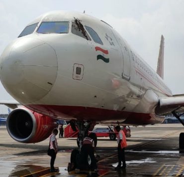 This Air India Flight Was Delayed by Three Hours When a Swarm of Bee's Attacked