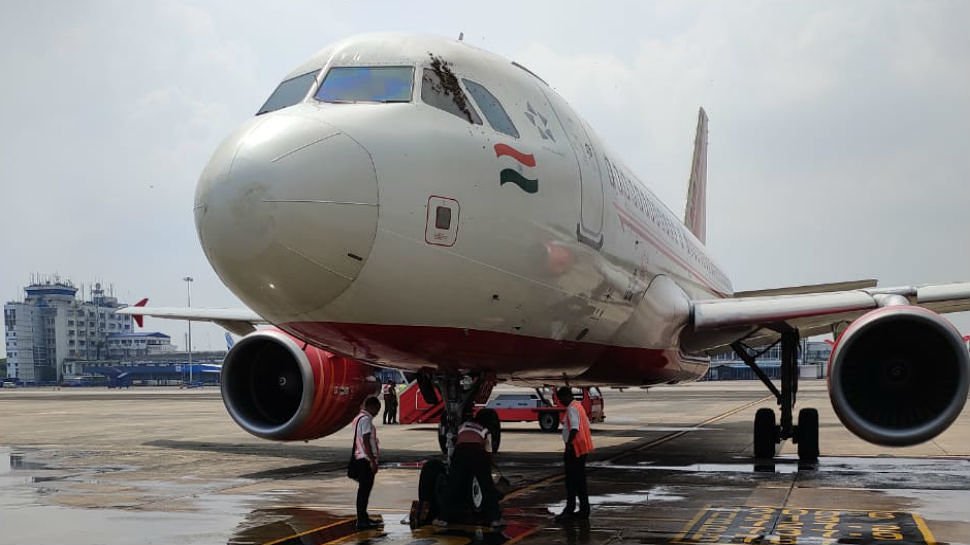 This Air India Flight Was Delayed by Three Hours When a Swarm of Bee's Attacked
