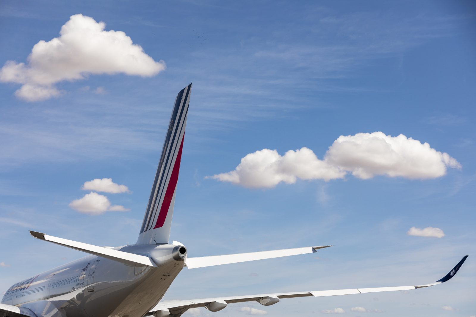 Air France to Carbon Offset All Domestic Flights and Cut CO2 Emissions in Half Within 10 Years