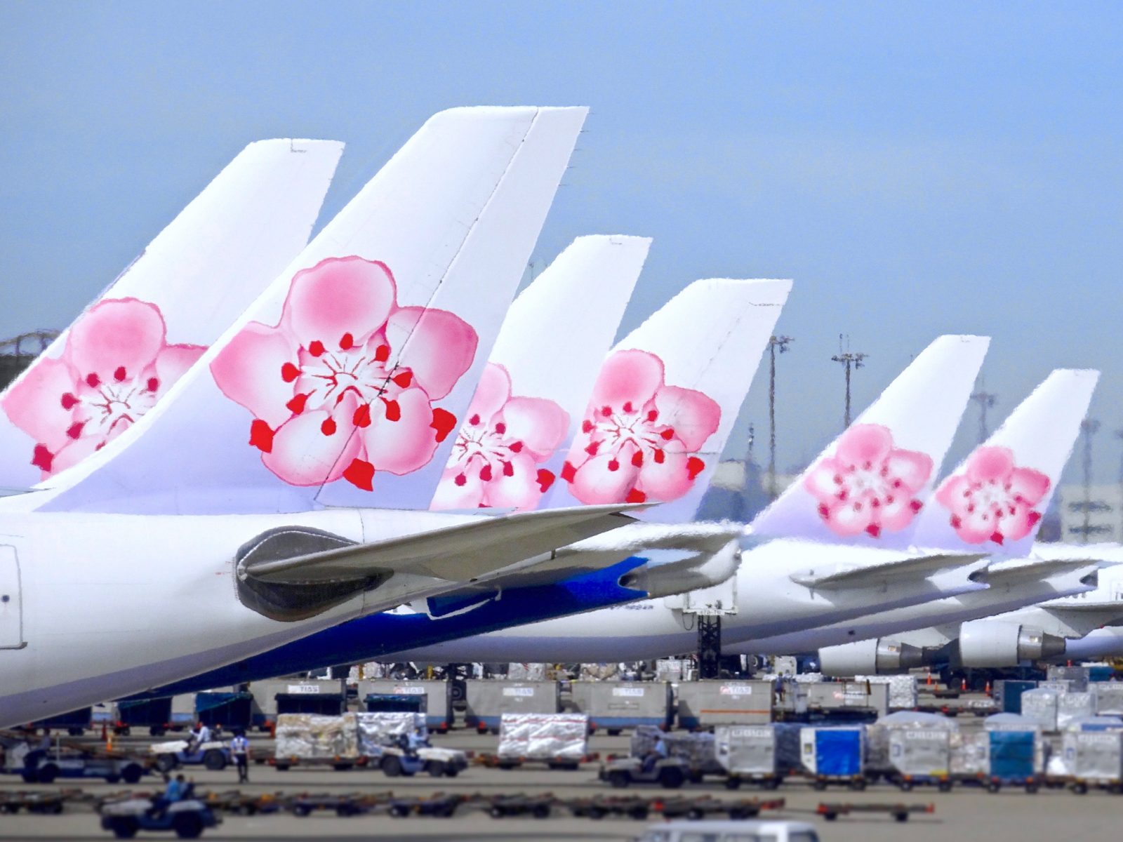 a row of airplanes with pink flowers on the tail