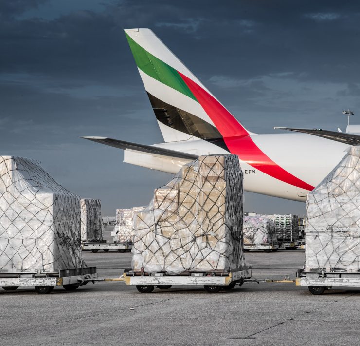 a plane with luggage on carts