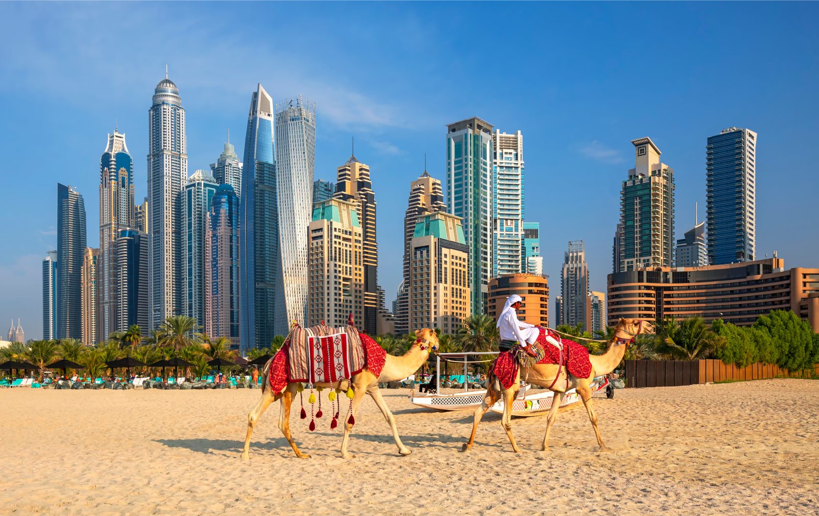 a man riding camels on a beach with a city in the background