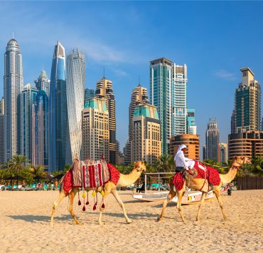 a man riding camels on a beach with a city in the background