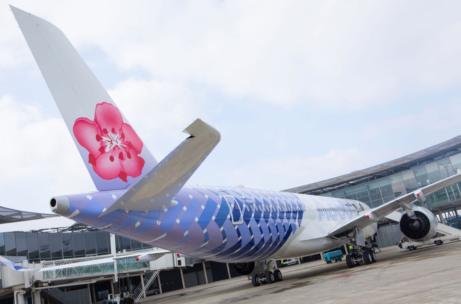 a blue and white airplane with a pink flower on the tail