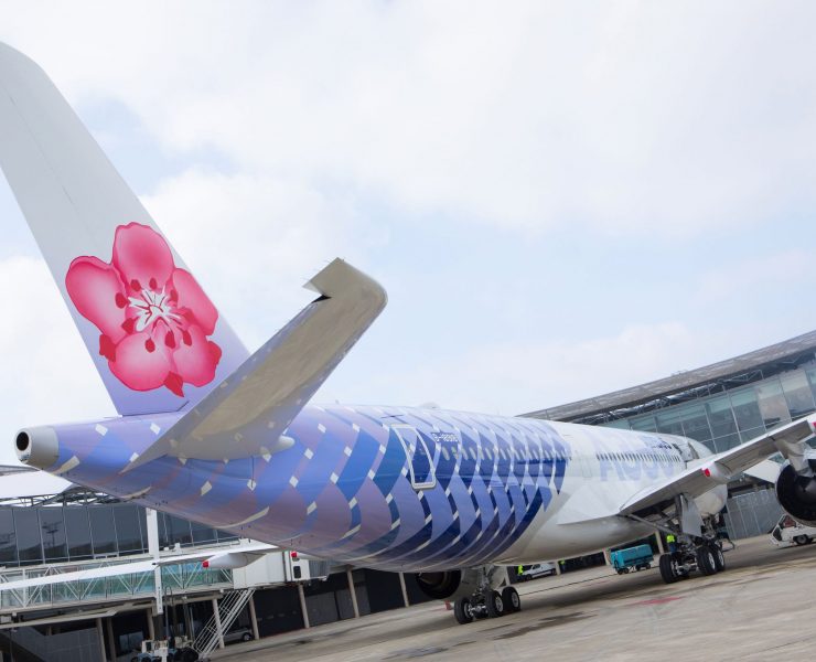 a blue and white airplane with a pink flower on the tail