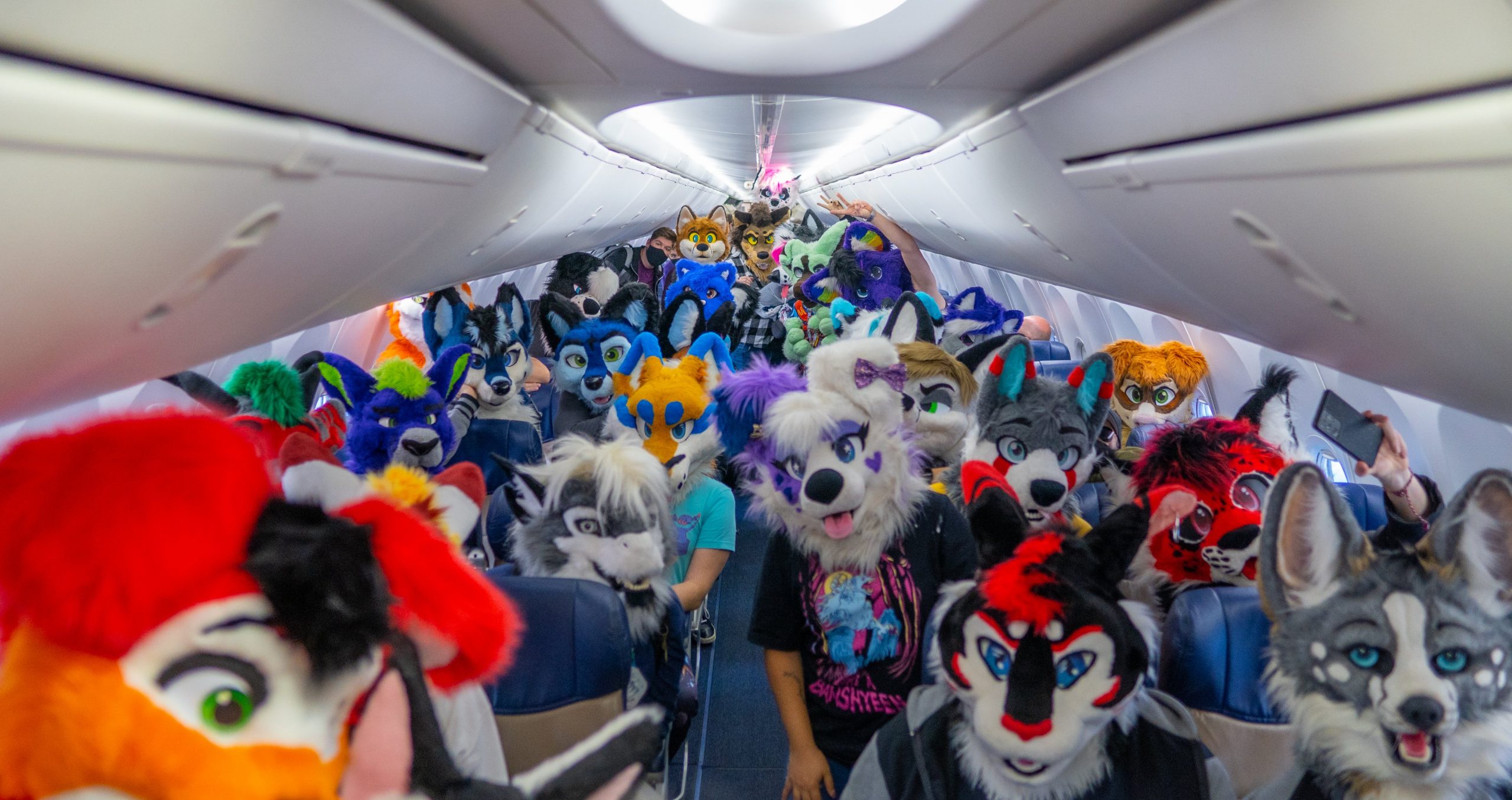 Furries On a Plane: Southwest Airlines Flight Taken Over By Animal Costumes...