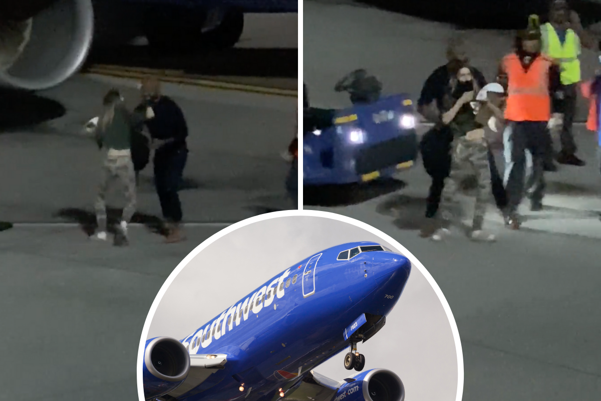 a collage of a blue airplane