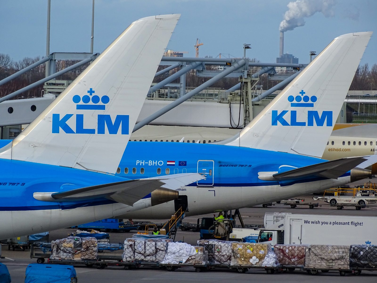 a group of airplanes parked at an airport