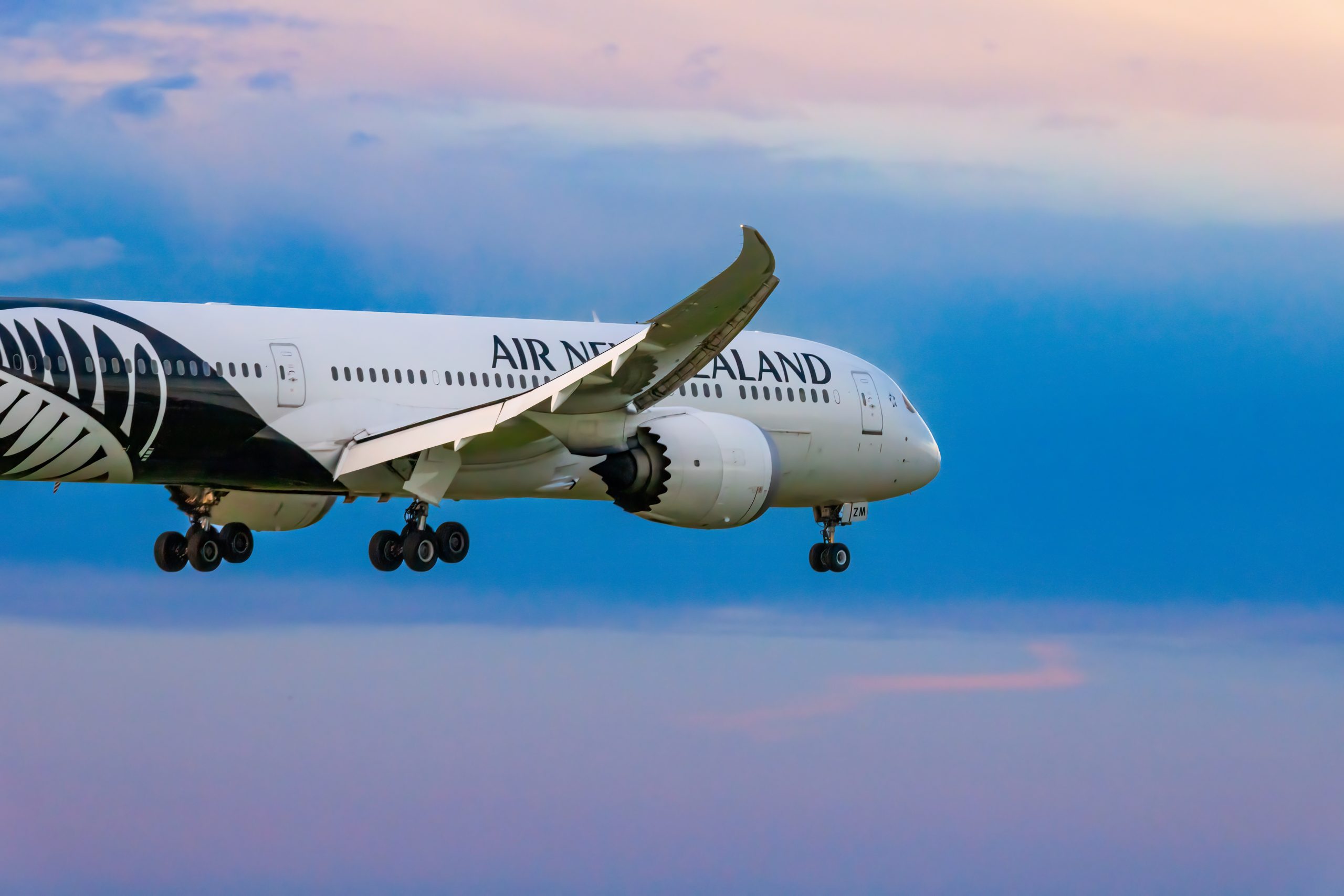 Air New Zealand Forced to Leave Dozens of Bags Behind On Flagship