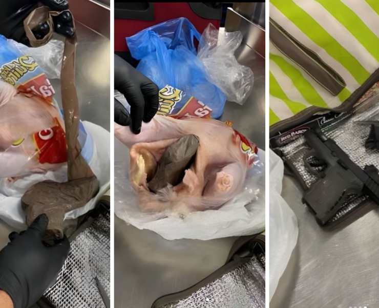 a collage of a pig being prepared for a crime