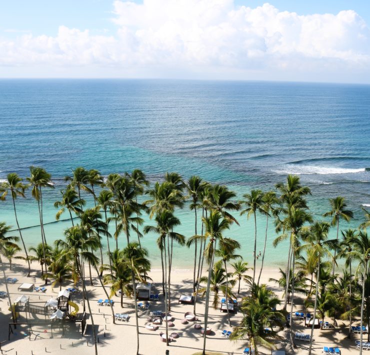 a beach with palm trees and blue water