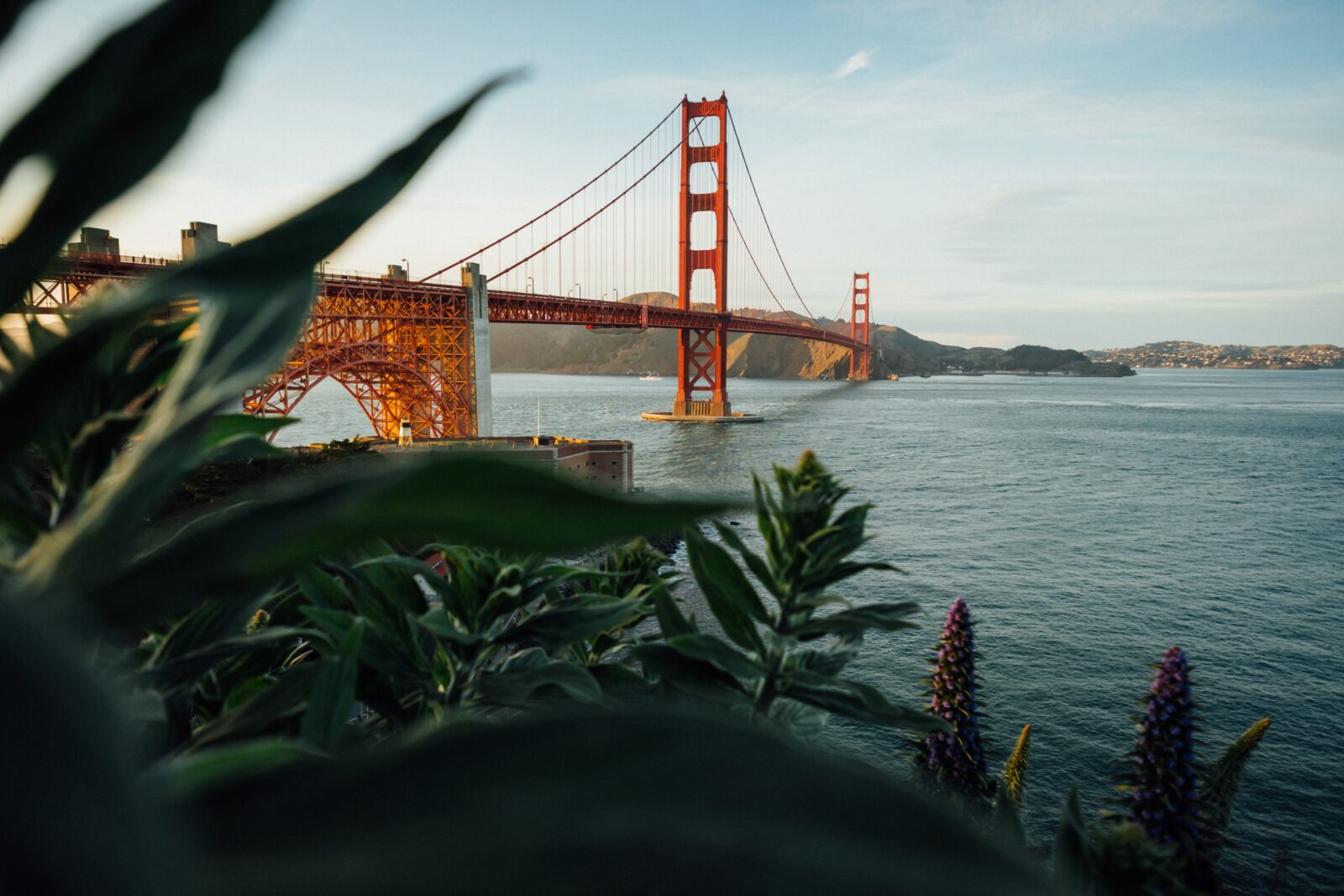 a bridge over water with plants