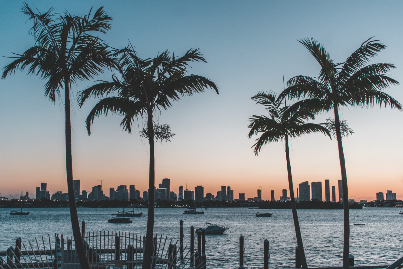 a group of palm trees by a body of water with a city in the background