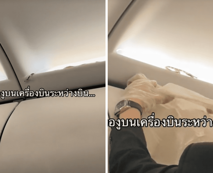 a person cleaning a car