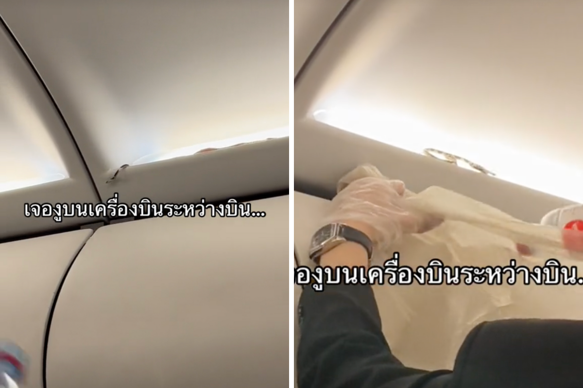 a person cleaning a car