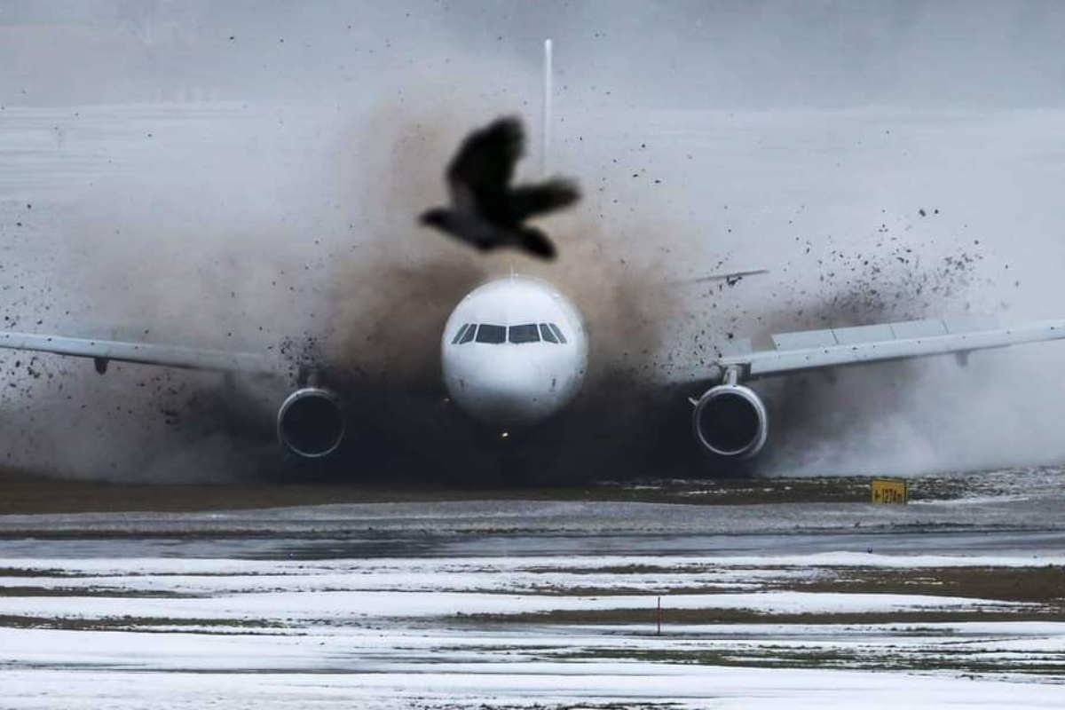 Keleivinis lėktuvas su 185 žmonėmis nuskriejo nuo kilimo ir tūpimo tako Lietuvoje, o prie vartų stoja taksi, lyg nieko nebūtų nutikę