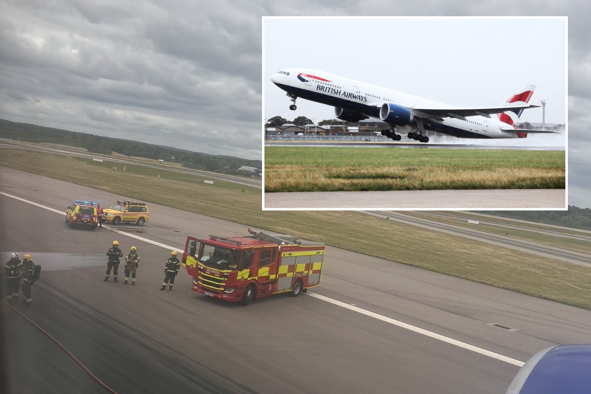 a plane and firetrucks on a runway