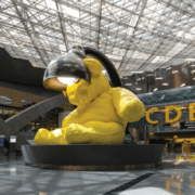 a yellow stuffed bear statue in a building