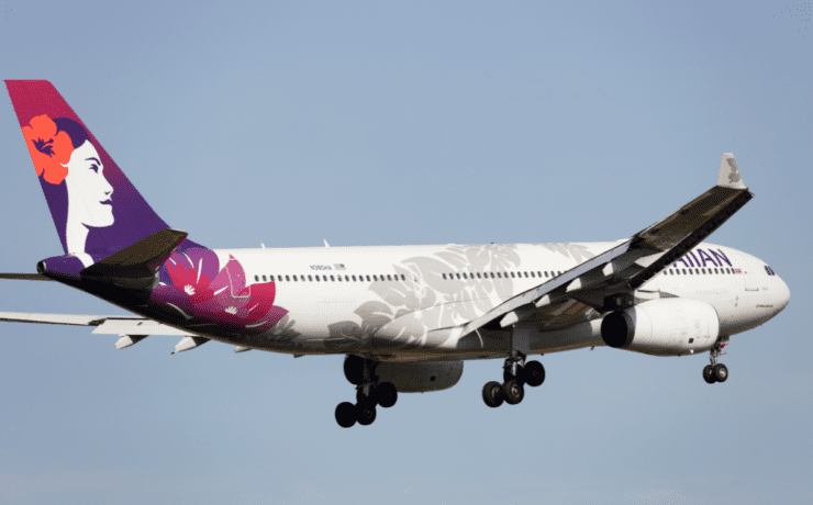 a white airplane with purple and white flowers on it