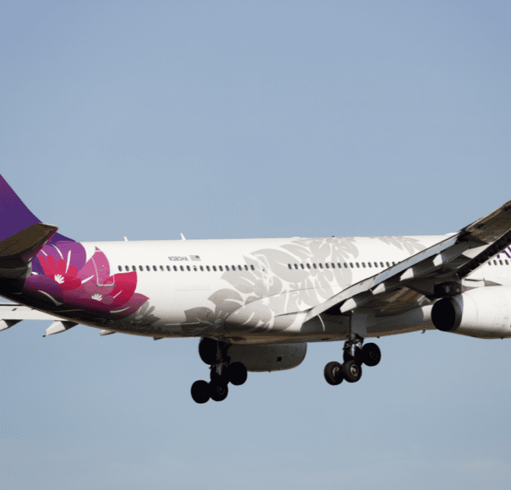 a white airplane with purple and white flowers on it