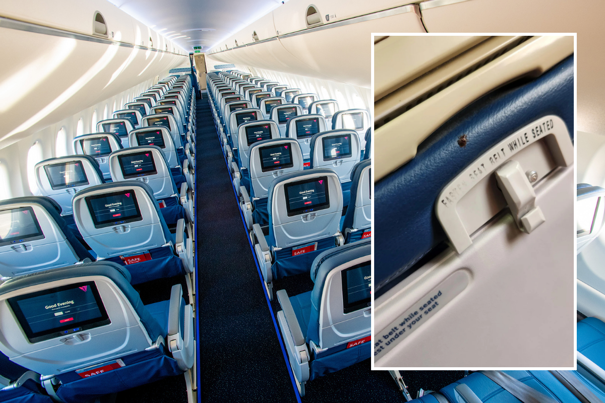 a row of seats on a delta air lines plane with an inset picture of a bedbug on a seatback