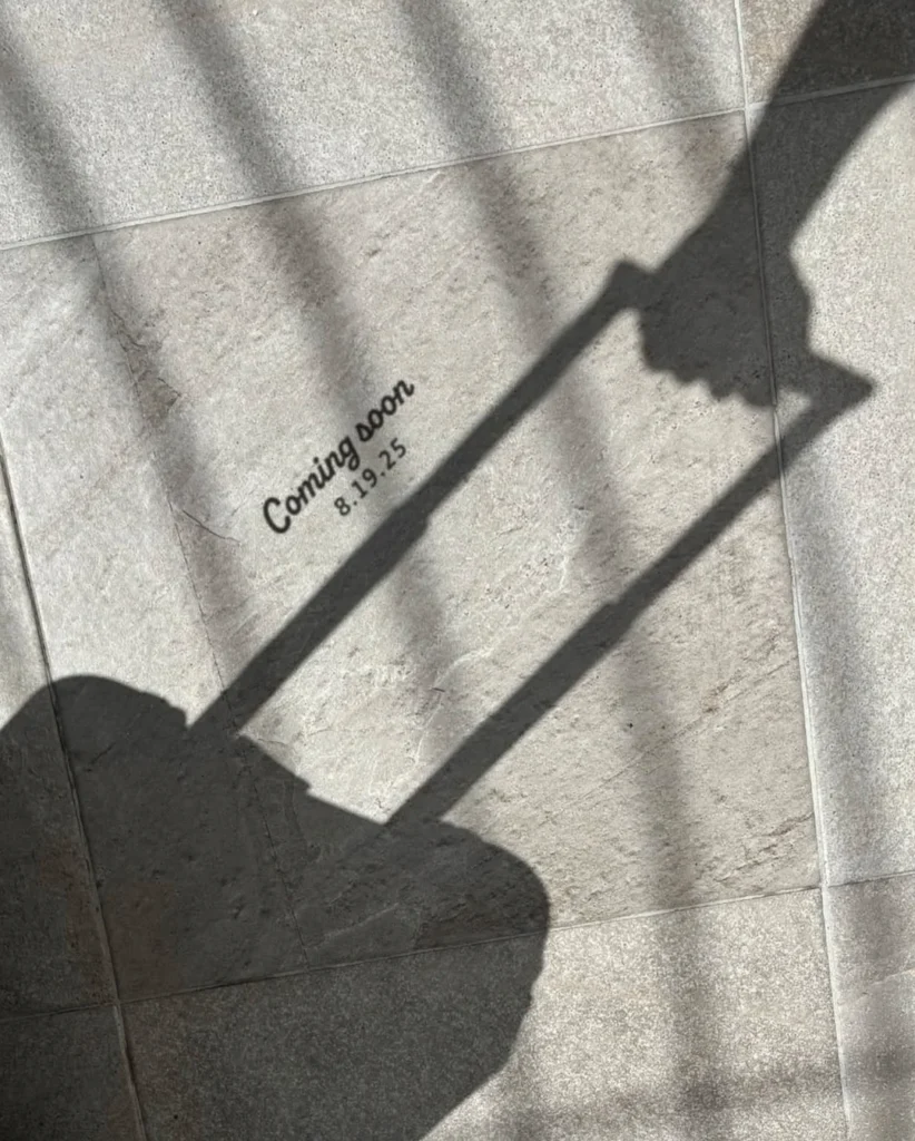 shadow of a hand holding a suitcase