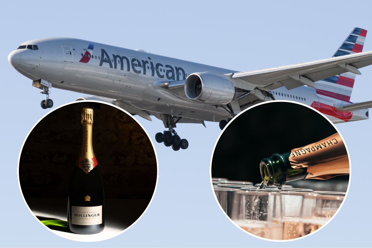 a plane with a bottle of champagne