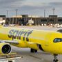 a spirit airlines aircraft parked at the gate