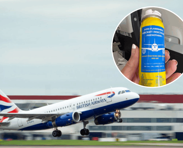 A British Airways aircraft taking off with an inset picture of a passenger holding a can of insecticide