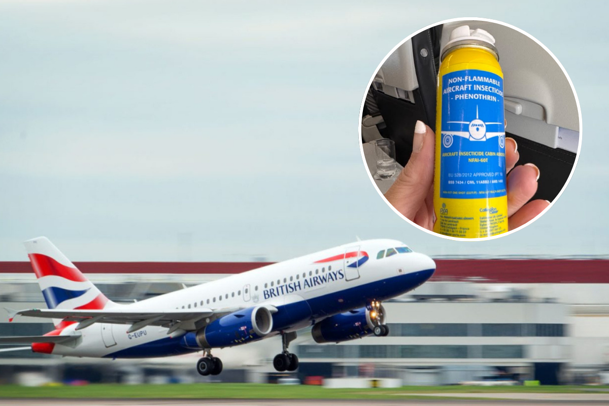 A British Airways aircraft taking off with an inset picture of a passenger holding a can of insecticide