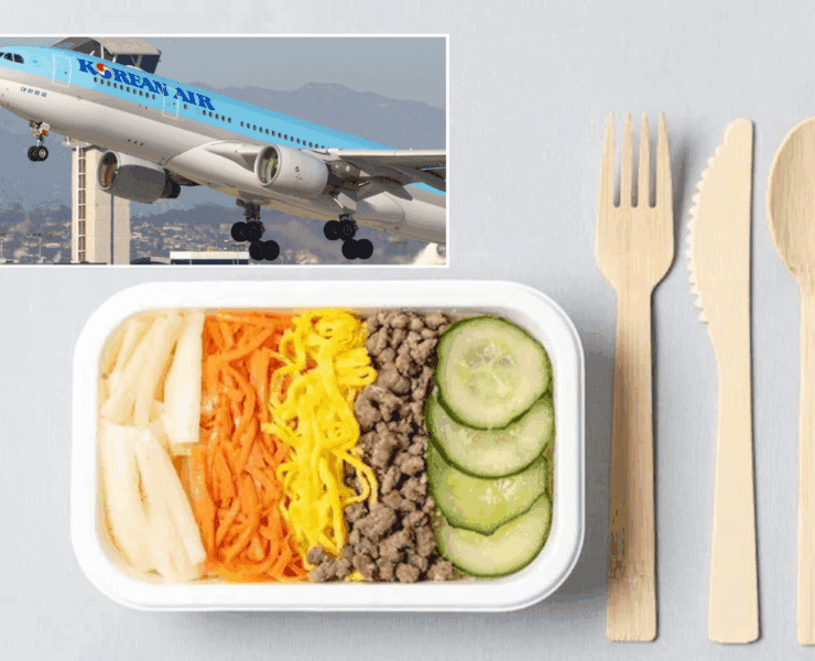 a food in a container with a picture of an airplane