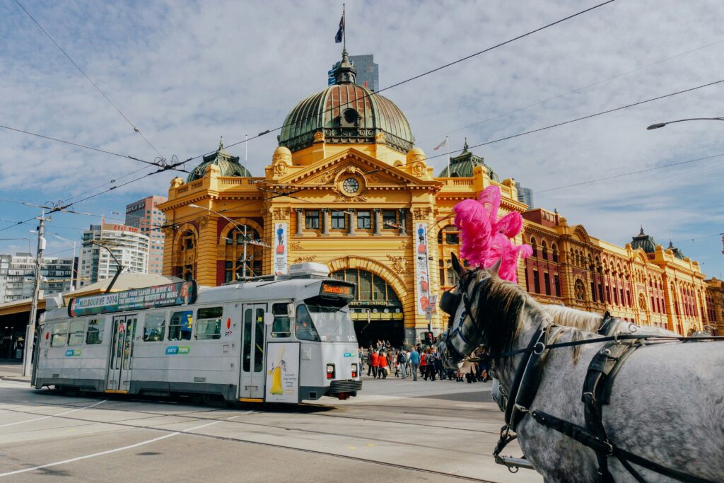 a horse pulling a trolley down a street with a pink feathered hat with Flinders Street railway station in the background