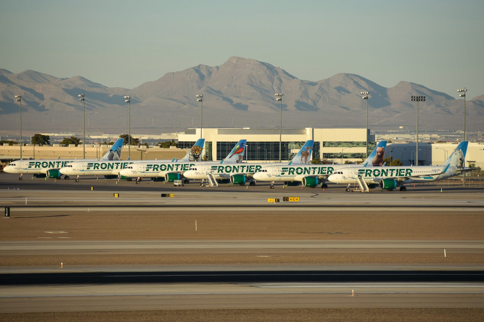 frontier airlines planes parked on the tarmac