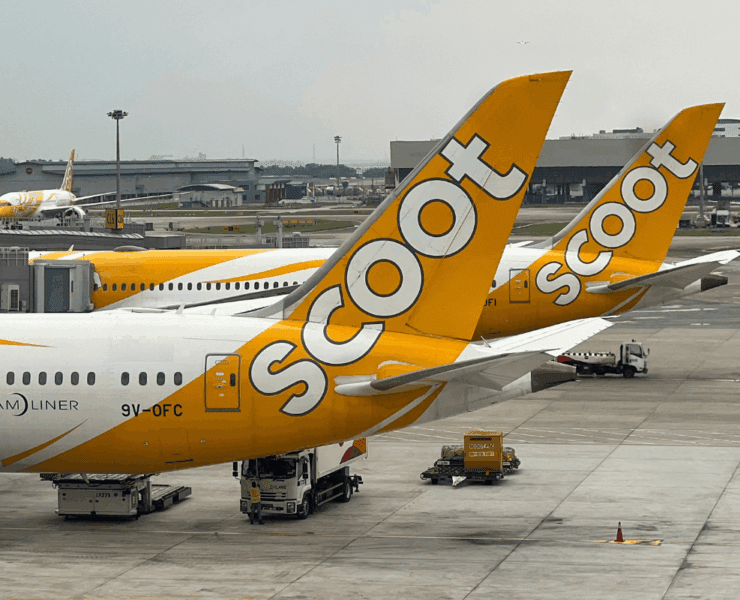 a group of airplanes parked at an airport