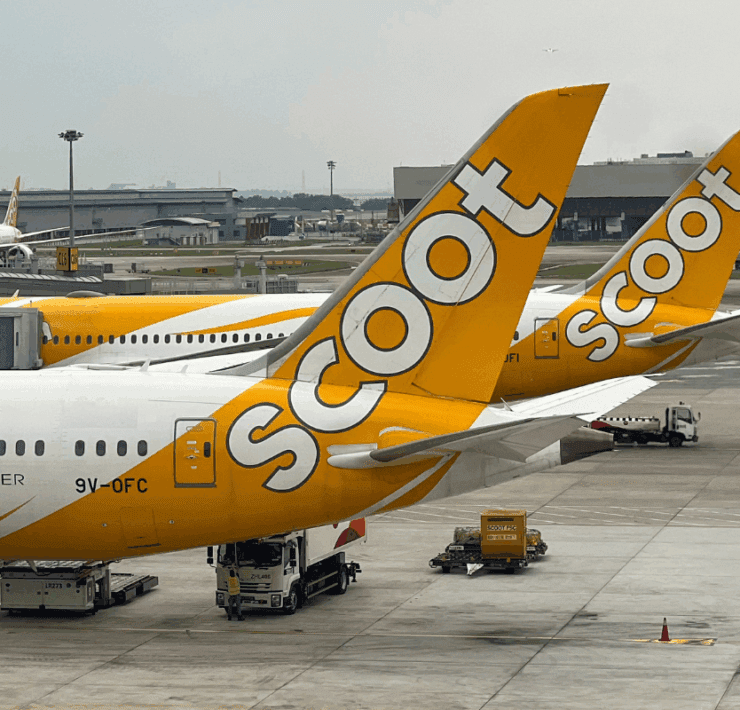 a group of airplanes parked at an airport