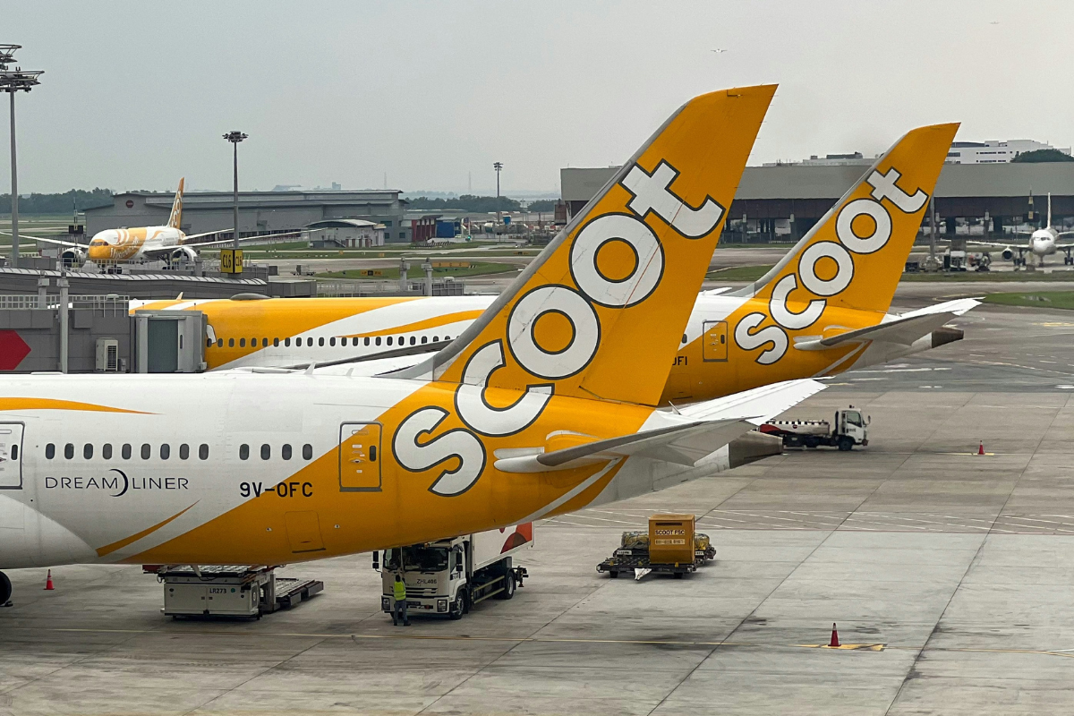 a group of airplanes parked at an airport