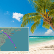 a map of a beach with palm trees and a map