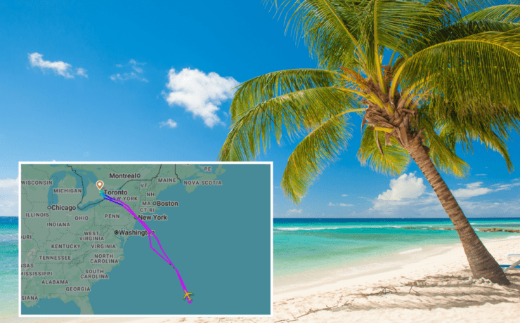 a map of a beach with palm trees and a map