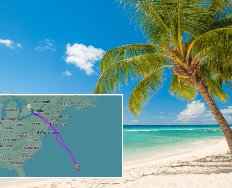 a map of a beach with palm trees and a map