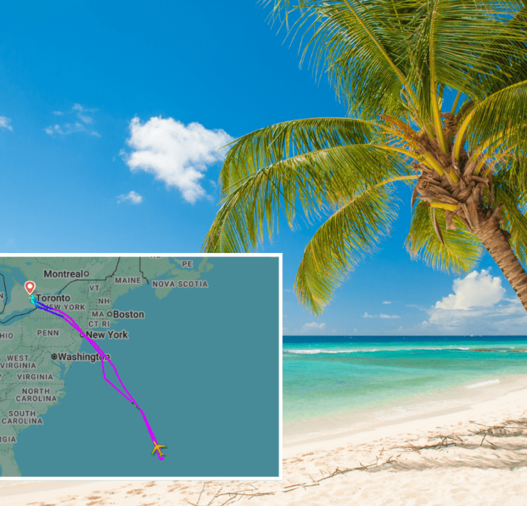 a map of a beach with palm trees and a map