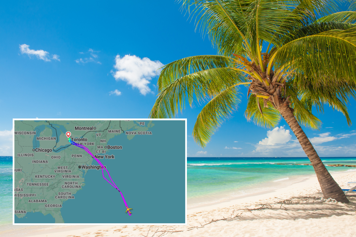 a map of a beach with palm trees and a map