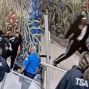 man arrested at Dallas love field