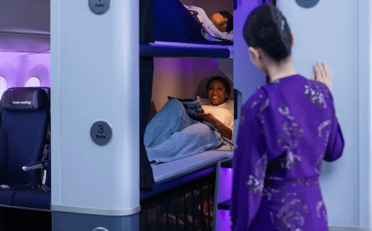 air new zealand skynest