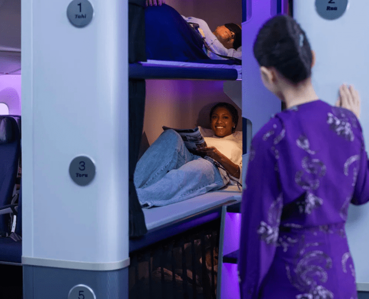 air new zealand skynest