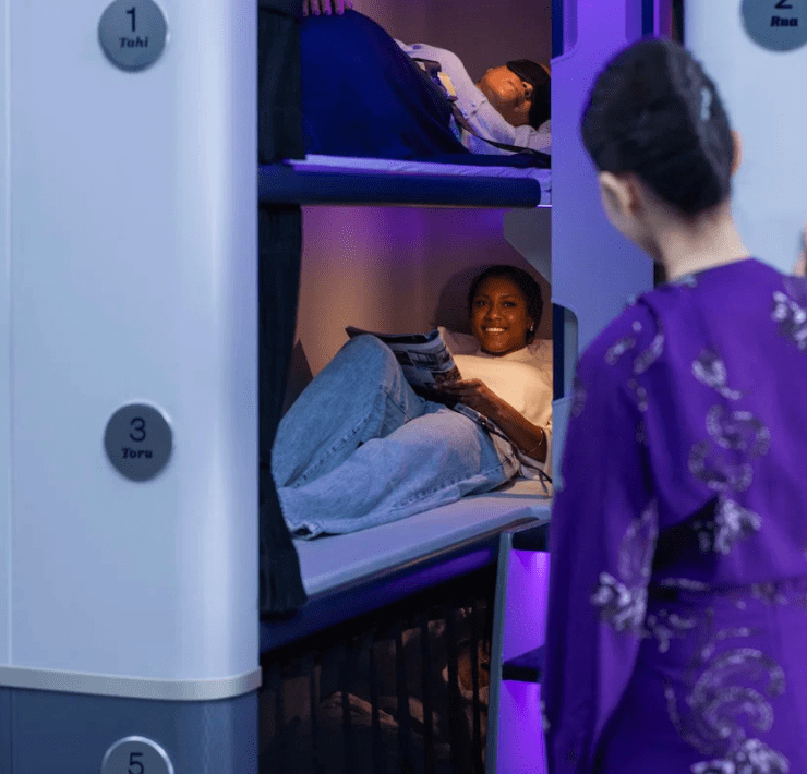 air new zealand skynest